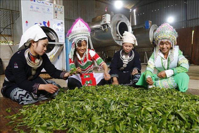 National target program for development of ethnic minority areas to be carried out in first quarter of 2022